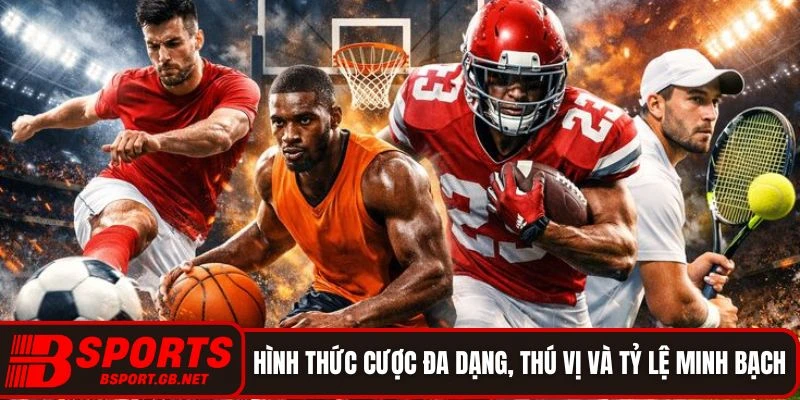 Hình thức cược đa dạng, thú vị và tỷ lệ minh bạch 